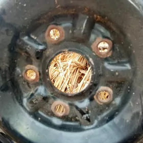 DISKA. 14 LIK  5 GOZ