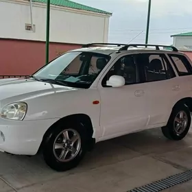 Hyundai Santa Fe 2003