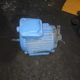 Matorcik маторчик