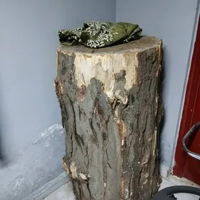 Toññe Agac kafelar ucin