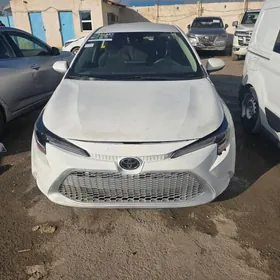 Toyota Corolla 2022