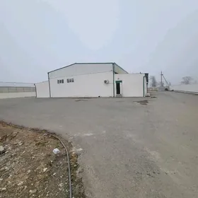 Anew onumcilik teplissa yerler