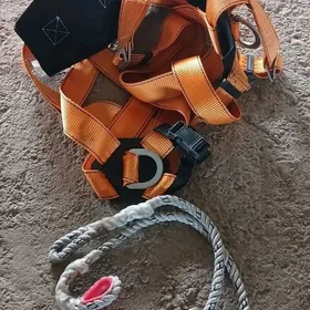 stolba çykanda dakylýan ýup