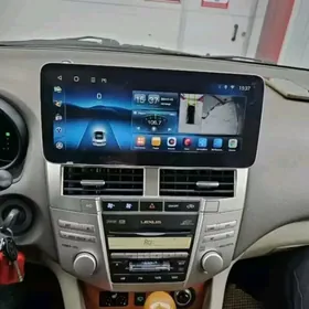 RS manitory 2003.2009 aralyk