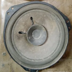 Kalonka.vektra.morda