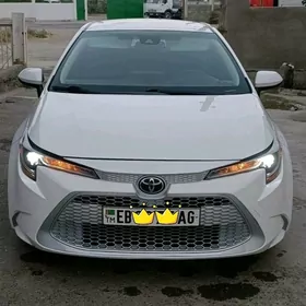 Toyota Corolla 2021