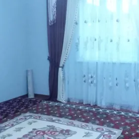 ТАЙЫН ТАЗЕ ЖАЙ