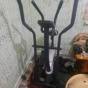 Trinažor lyža tigir