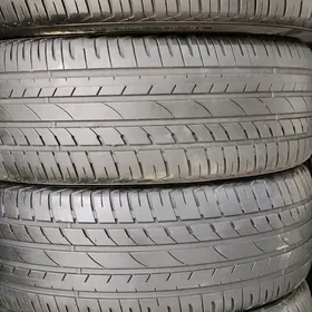 255 60 18 4şt Ýyly23