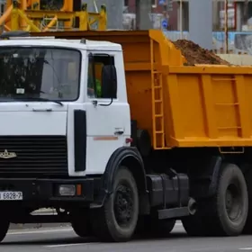 DERS MITI SEMENT KERPIC  CAGE