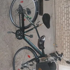 𝗴𝘆𝘀𝗱𝗮𝗴𝗹𝘆 𝘀𝗮𝘁𝗹𝘆𝗸