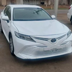 Toyota Camry 2020