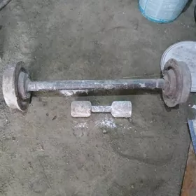 штанга , гантеля