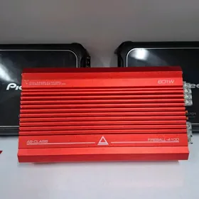 Pioneer usulitel D class