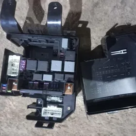 Kiýa  Sarenta   Tok  Guty