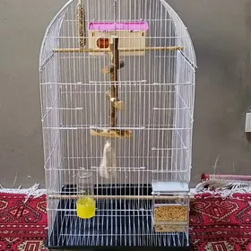 Guş ketek Клетка большая