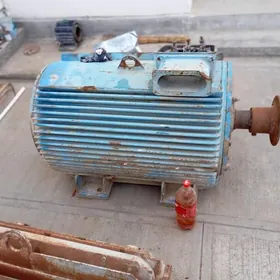 mator dwigatel 250kw 110kw