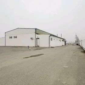 Anew suyt onum zawot 1 gektar