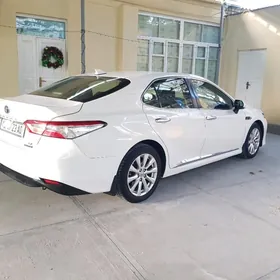 Toyota Camry 2019
