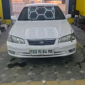 Toyota Camry 2001