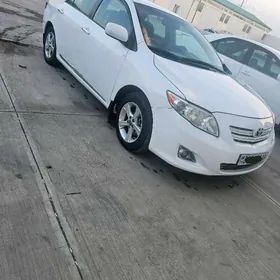 Toyota Corolla 2010