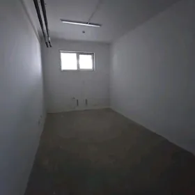 SATLYK GURTLY PODWAL