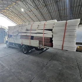 Gazel Forlant Ganter 7~24