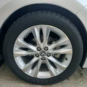 Corolla diska pakriska