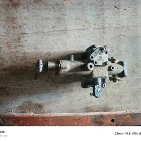 хова шайлары