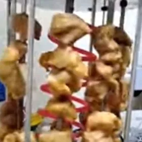 шашликниса