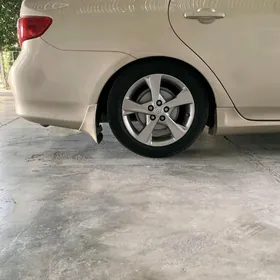 Orginal exclusive r16 Yokohama