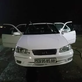 Toyota Camry 2001