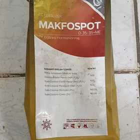 Daýhanyñ 100 % dökün