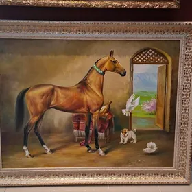 çekilen at surat bedew