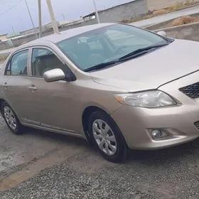 Toyota Corolla 2010