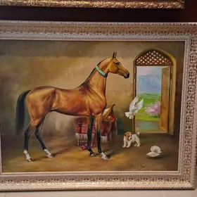 çekilen at surat bedew