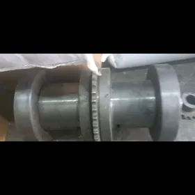 bsu sallama barabany