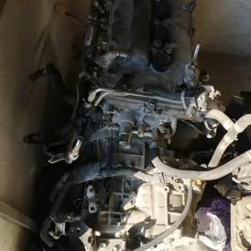 motor karopka morda toyota