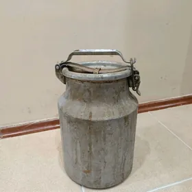 Filyak kiçi ( CCC P)