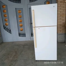 LG wozdusny Holidilnik.