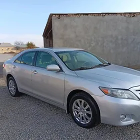 Toyota Camry 2010