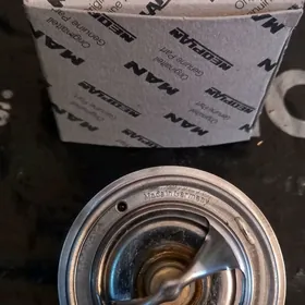 MAN TGL TGM TGE termastat