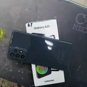A23