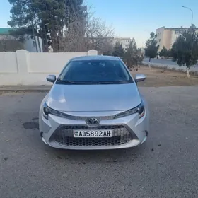 Toyota Corolla 2020