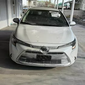Toyota Corolla 2024