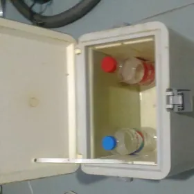 holodilnik dlya masiny   12 wolt