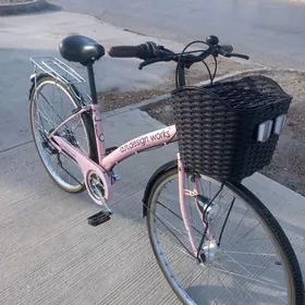 arginal yaponka 27 lik