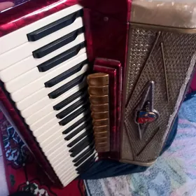 Akkordeon