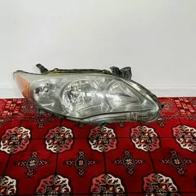 fara karolla le 2011