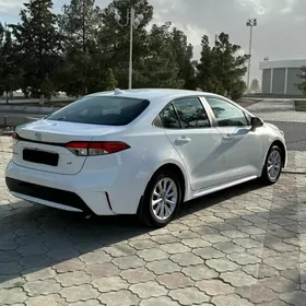 Toyota Corolla 2019